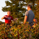 Découverte du vignoble avec Michel michel jacquesson presente son exploitation
